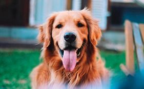 Recanto do Xamã - Praia do Rosa